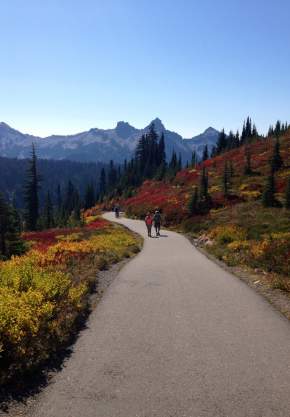 Fall at Paradise on Mount Rainier