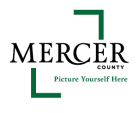 Mercer Logo