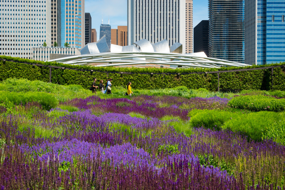 Lurie Garden in Millennium Park