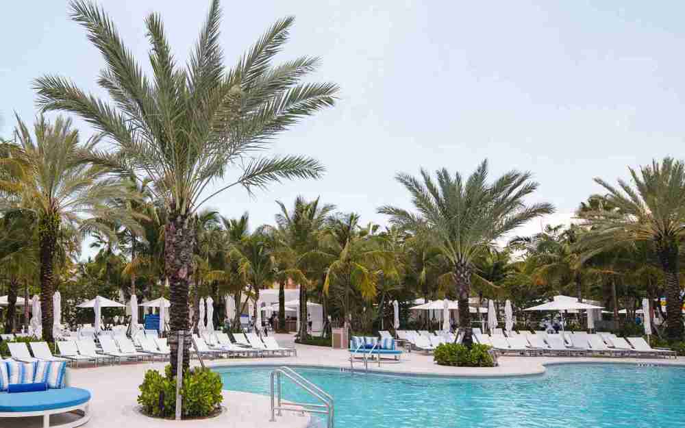 Plongez dans la sérénité à Tidal Cove La piscine de l'hôtel, La Laguna, où les meilleurs sièges au bord de la brise des palmiers et des eaux chauffées vous invitent à un plongeon rafraîchissant.
