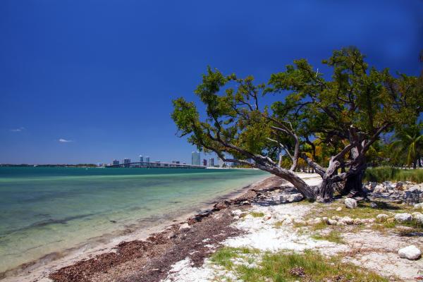 Hobie Beach - Windsurfer Beach