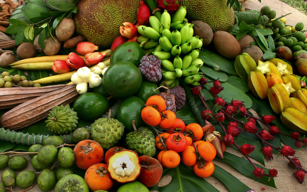 Fête des fruits d'été